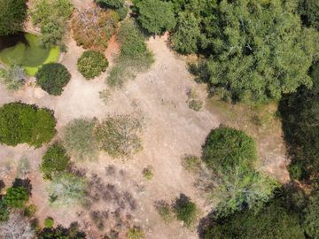 VENTA DE FINCA EN CARMEN DE APICALA