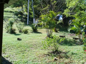 VENTA DE FINCA EN CARMEN DE APICALA