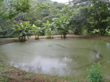 VENTA DE FINCA EN CARMEN DE APICALA