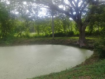 VENTA DE FINCA EN CARMEN DE APICALA
