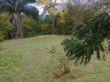 VENTA DE FINCA EN CARMEN DE APICALA