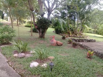 VENTA DE FINCA EN CARMEN DE APICALA
