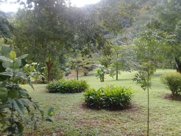VENTA DE FINCA EN CARMEN DE APICALA