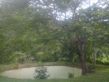 VENTA DE FINCA EN CARMEN DE APICALA