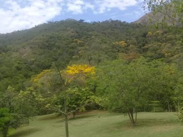 VENTA DE FINCA EN CARMEN DE APICALA