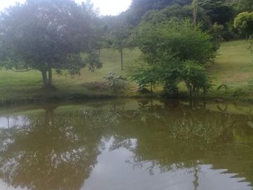 VENTA DE FINCA EN CARMEN DE APICALA