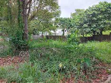 321 sqm Vacant Lot in Buenavista Hills Subdivision Barangay Tolentino West Tagaytay City Cavite