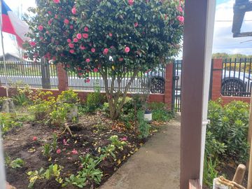 VENTA CASA AVENIDA MAULLIN
