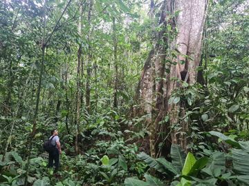 Terreno de 24 Hectáreas con Potencial Ecoturístico a 40 minutos de Tarapoto.
