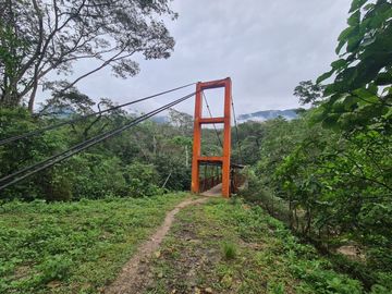 Terreno de 24 Hectáreas con Potencial Ecoturístico a 40 minutos de Tarapoto.