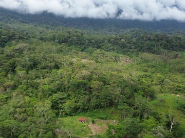 Terreno de 24 Hectáreas con Potencial Ecoturístico a 40 minutos de Tarapoto.