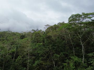 Terreno de 24 Hectáreas con Potencial Ecoturístico a 40 minutos de Tarapoto.