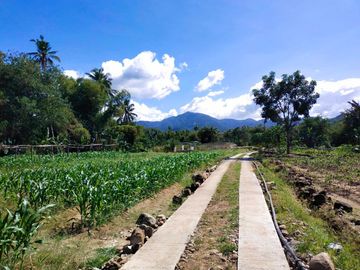 Fully Developed and Productive Farm for Sale