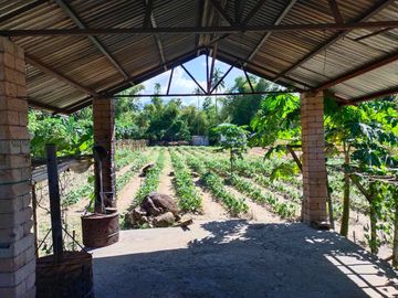 Fully Developed and Productive Farm for Sale
