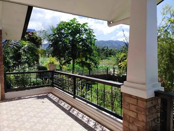 Fully Developed and Productive Farm for Sale