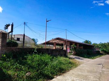 Fully Developed and Productive Farm for Sale