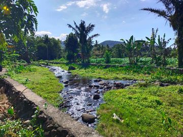 Fully Developed and Productive Farm for Sale