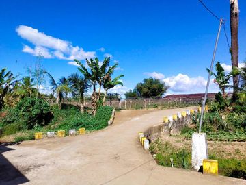 Fully Developed and Productive Farm for Sale
