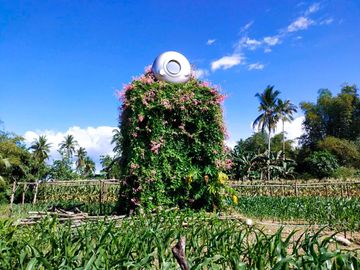 Fully Developed and Productive Farm for Sale