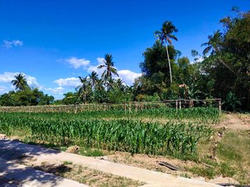 Fully Developed and Productive Farm for Sale