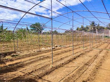 Fully Developed and Productive Farm for Sale