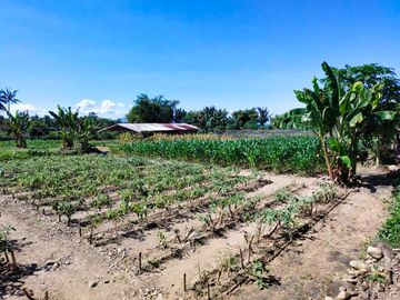 Fully Developed and Productive Farm for Sale