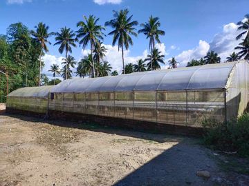 Fully Developed and Productive Farm for Sale