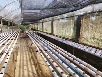 Fully Developed and Productive Farm for Sale