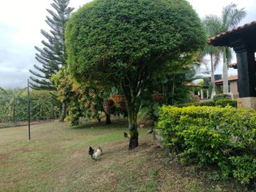 EN VENTA FINCA BUGA CORREGIMIENTO EL VINCULO  RECREACION O TURISTICO