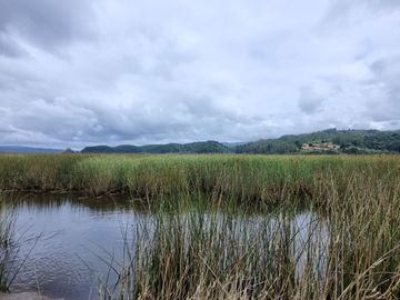 Casa con Acceso al Río Angachilla Sector Las Gaviotas