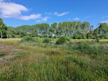 Parcela con laguna y acceso al Río Calle Calle