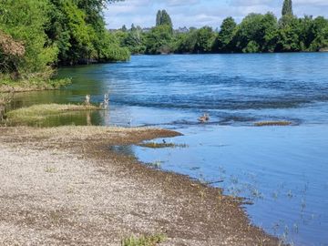 Parcela con laguna y acceso al Río Calle Calle