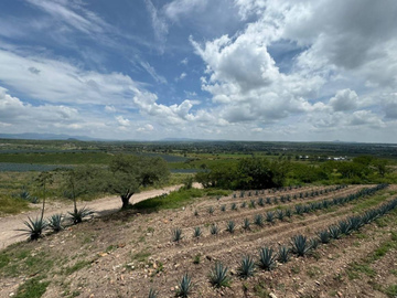 Hermoso Rancho en venta, El molino tejaban, Guanajuato