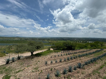 Hermoso Rancho en venta, El molino tejaban, Guanajuato