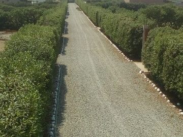 Vendo Terreno Amplio En Hermoso Condominio La Romana, El Carmen De 877.235 M2