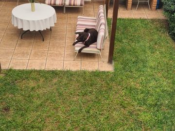 Ocasión Vendo Hermosa Casa Las Gardenias Surco