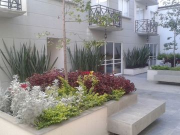 PENTHOUSE ARTES GRAFICAS VENUSTIANO CARRANZA