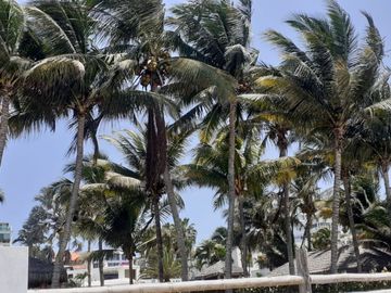 **De oportunidad En Venta lote de 1.000 metros en la Entrada 7 Punta Blanca Ecuador**