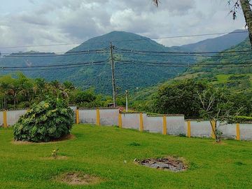 Vendo finca de descanso en Fredonia Antioquia