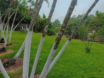 Vendo finca de descanso en Fredonia Antioquia