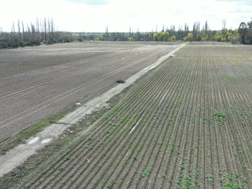 FUNDO CON PACKING, CAMPO 59,40 HECTAREAS PARCELA-TERRENO