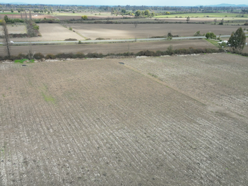 FUNDO CON PACKING, CAMPO 59,40 HECTAREAS PARCELA-TERRENO