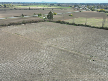 FUNDO CON PACKING, CAMPO 59,40 HECTAREAS PARCELA-TERRENO