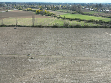 FUNDO CON PACKING, CAMPO 59,40 HECTAREAS PARCELA-TERRENO