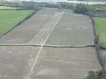 FUNDO CON PACKING, CAMPO 59,40 HECTAREAS PARCELA-TERRENO