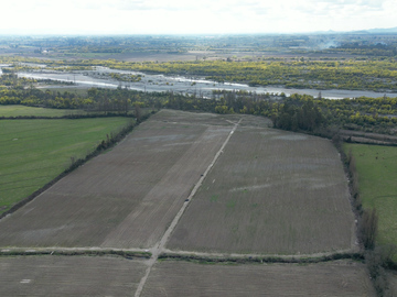 FUNDO CON PACKING, CAMPO 59,40 HECTAREAS PARCELA-TERRENO