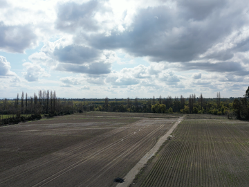 FUNDO CON PACKING, CAMPO 59,40 HECTAREAS PARCELA-TERRENO
