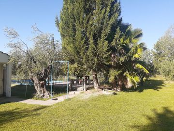 SE VENDE FINCA DE OLIVOS EN MAIPÚ, PROVINCIA DE MENDOZA