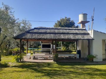 SE VENDE FINCA DE OLIVOS EN MAIPÚ, PROVINCIA DE MENDOZA