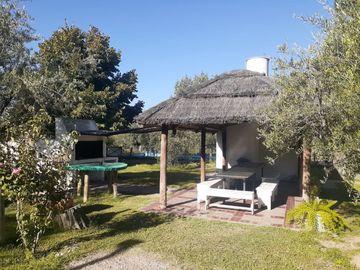 SE VENDE FINCA DE OLIVOS EN MAIPÚ, PROVINCIA DE MENDOZA